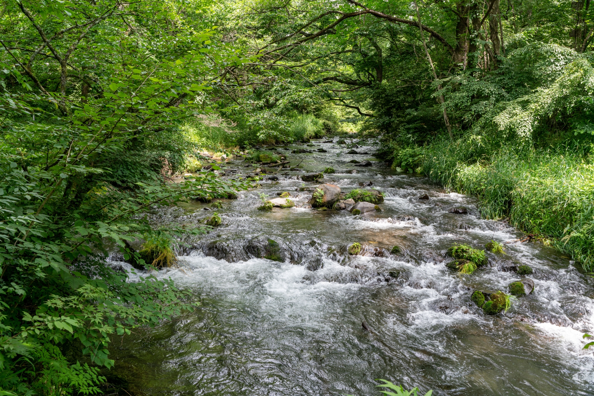 軽井沢星野高原エリア