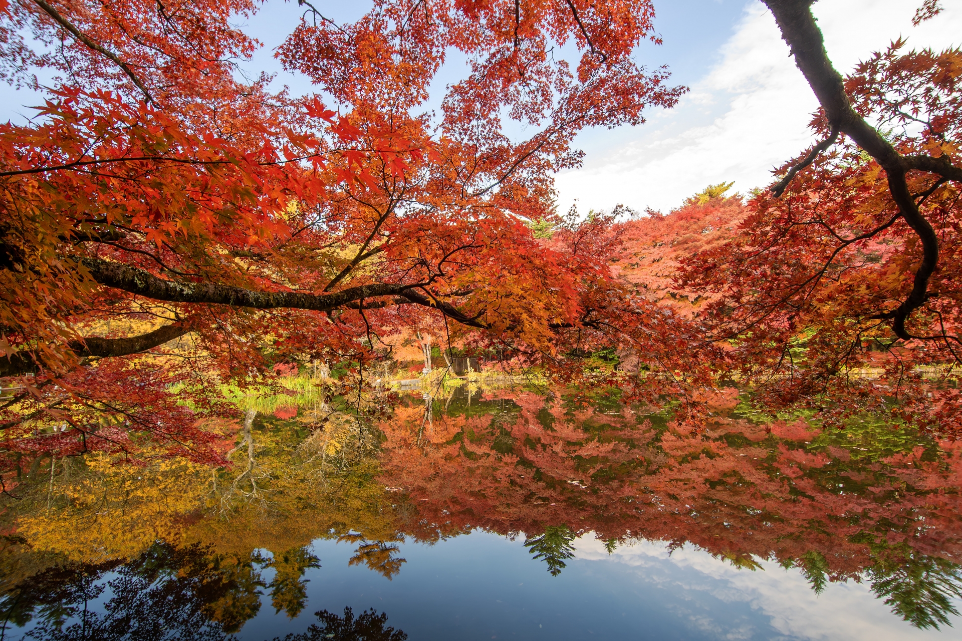 北軽井沢の自然